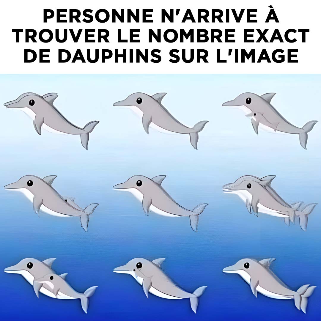 Combien de dauphins pouvez-vous repérer sur l'image ?