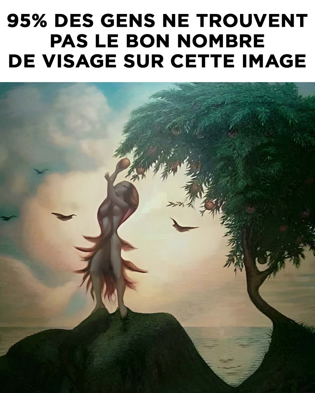 Combien de visages voyez-vous sur cette illusion d’optique ?