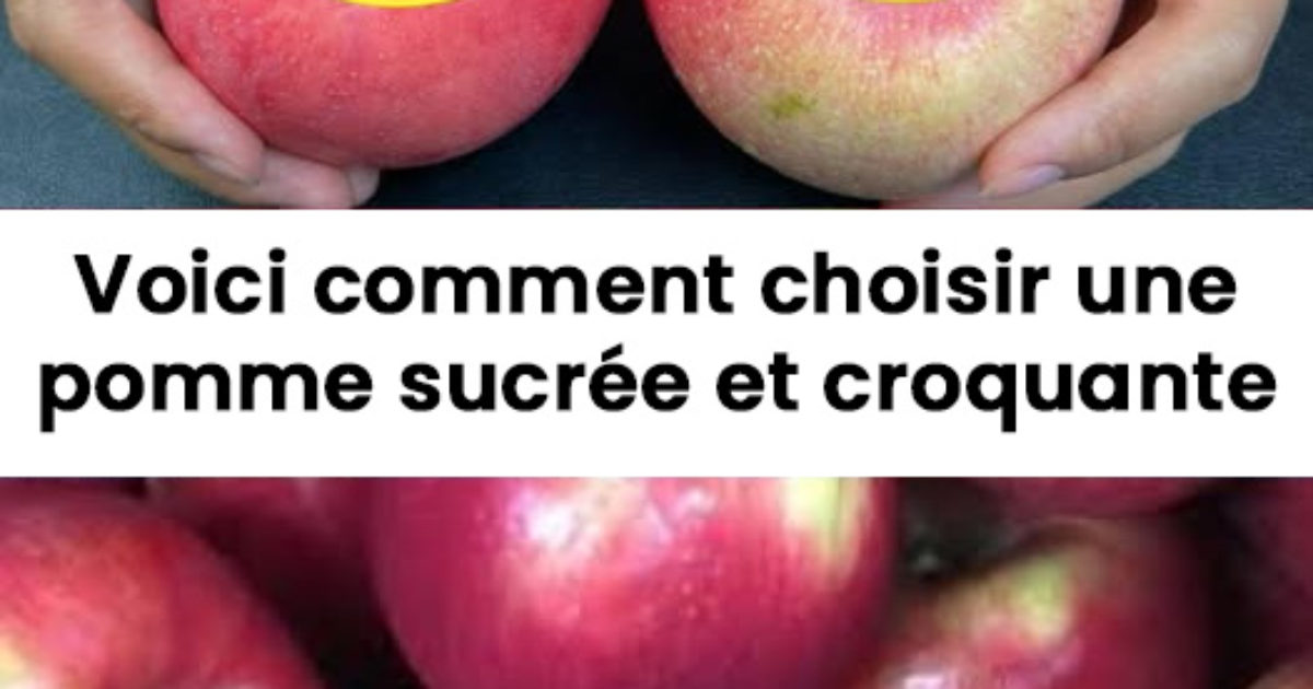 Comment identifier les variétés de pommes les plus croquantes et les plus sucrées ?