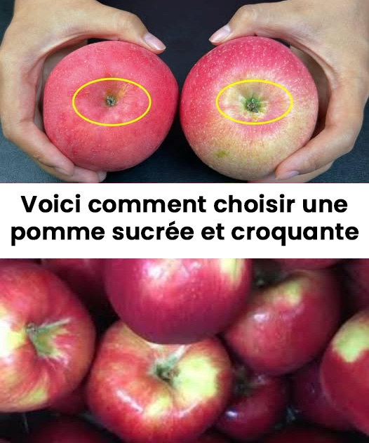 Comment identifier les variétés de pommes les plus croquantes et les plus sucrées ?