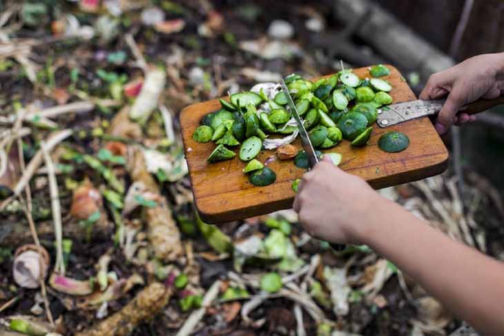 compost