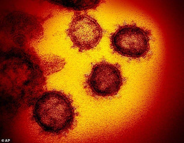 Des volontaires vont être payés 4000 euros pour être contaminé par le coronavirus