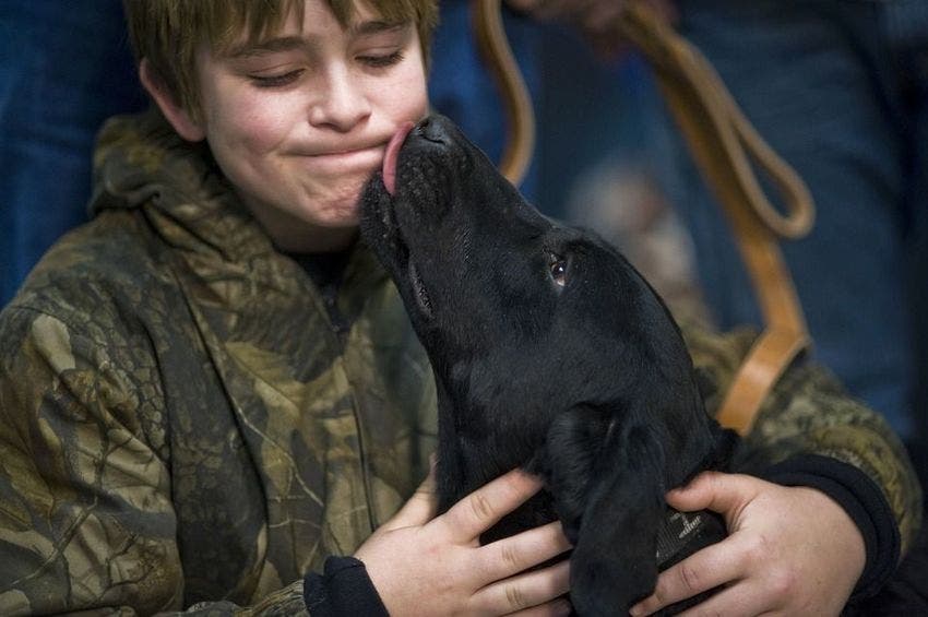 Perdre un chien peut être aussi difficile que perdre un être cher d’après des études