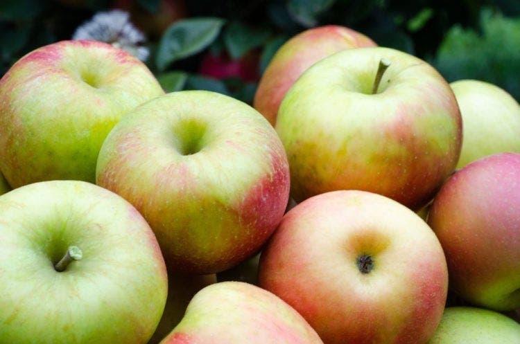 Éliminez toutes les toxines de vos reins pour retrouver la santé grâce à cette boisson au citron concombre