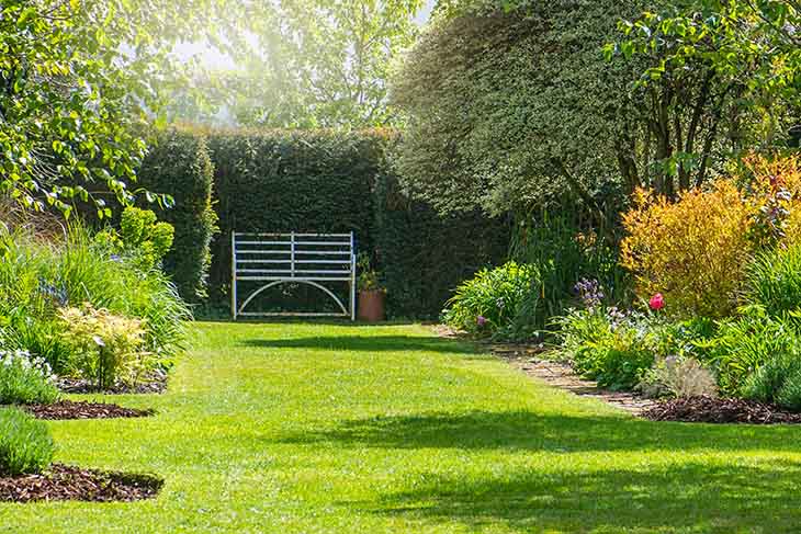 gazon dans le jardin de la maison