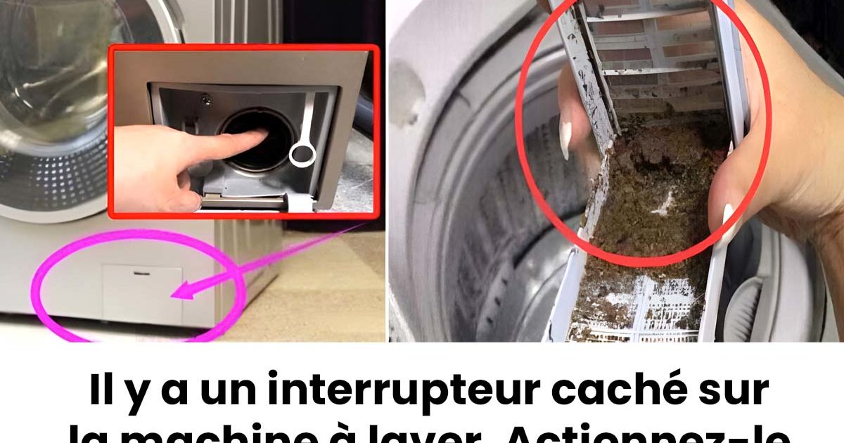 Il y a un interrupteur caché dans la machine à laver : touchez-le et l'eau sale s'écoulera immédiatement.