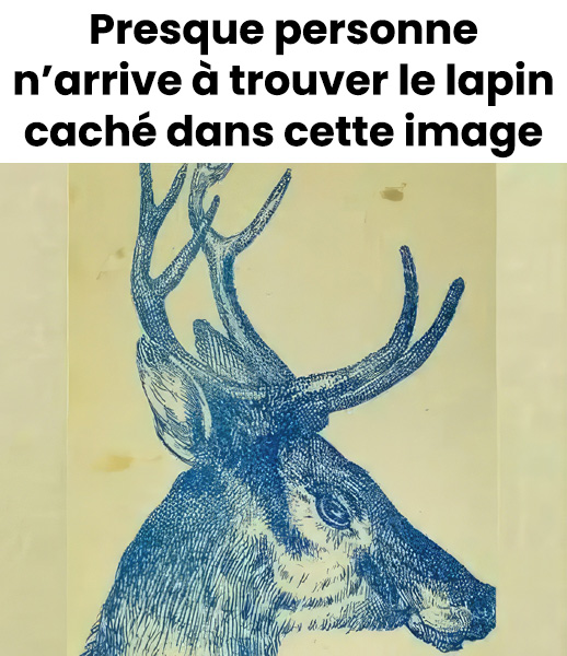 Illusion d'optique : pouvez-vous trouver le lapin caché dans le cerf en 9 secondes ?