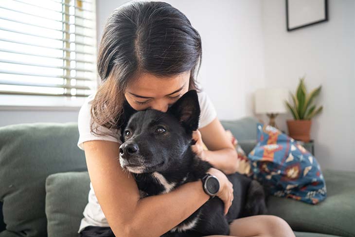 jouer avec chien