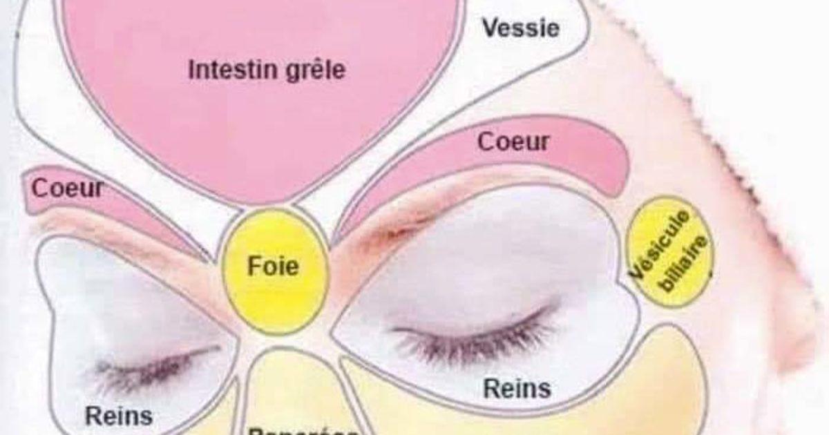 La cartographie du visage : ce que votre peau dévoile sur votre état de santé