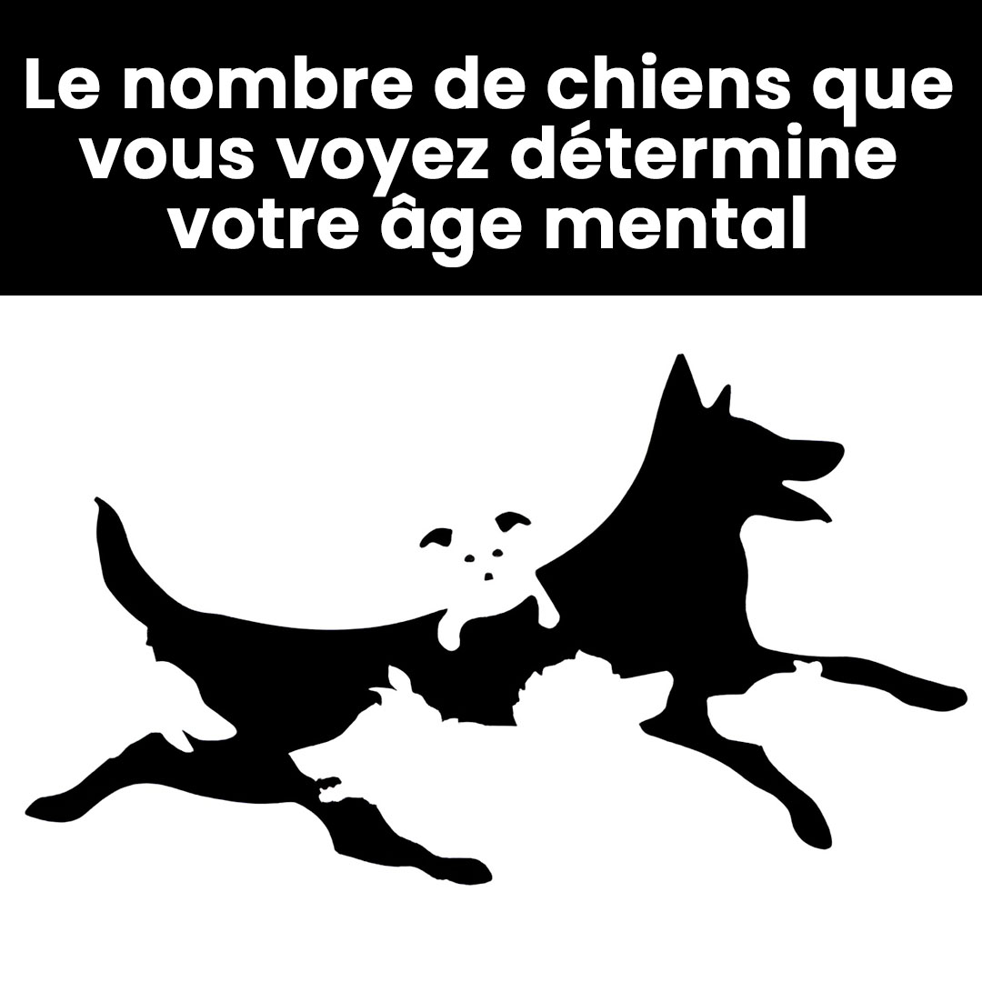 Le nombre de chiens que vous verrez sur cette image détermine votre âge mental