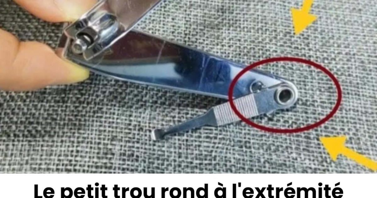 Le petit trou rond à l'extrémité d'un coupe-ongles a une fonction bien spécifique