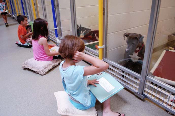 lecture pour chiens timides