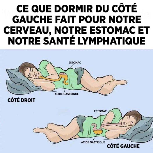 Les bienfaits de dormir sur le côté gauche pour le cerveau, l’estomac…