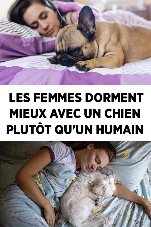 Les femmes dorment mieux avec un chien plutôt qu'un humain