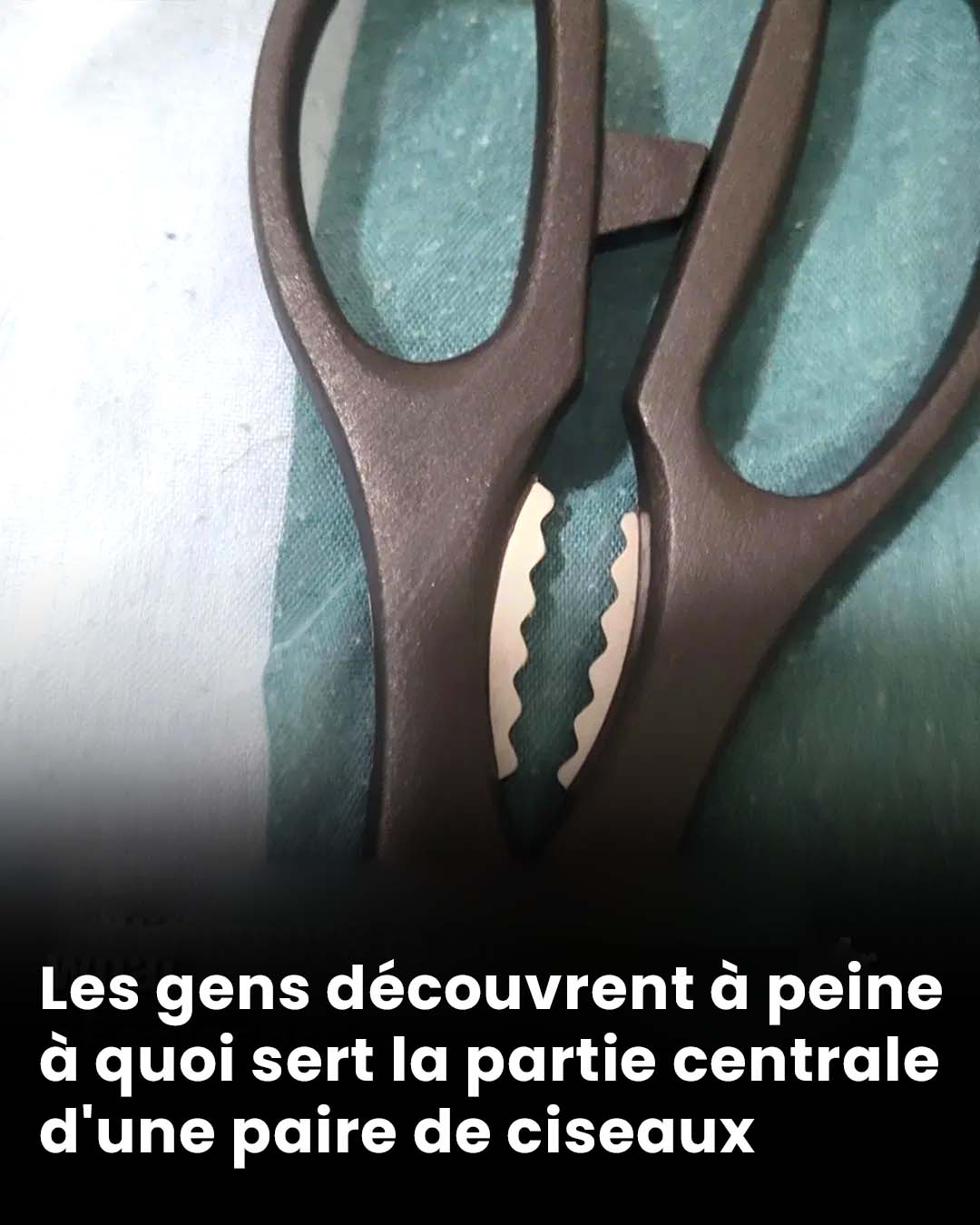 Les gens découvrent tout juste à quoi sert la partie centrale d'une paire de ciseaux