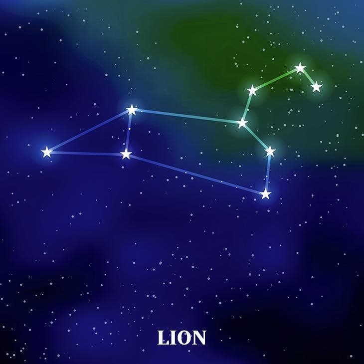 Lion. source : spm