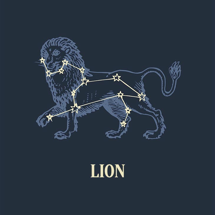 Lion. source : spm