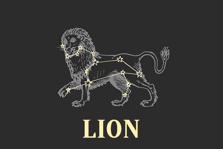 Lion – source : spm