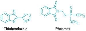 molecules