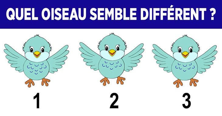 Image du défi visuel – source : spm