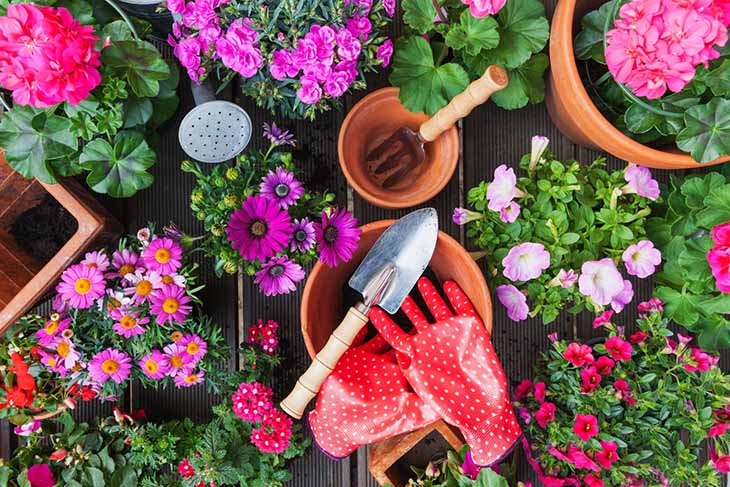 Outils de jardinage 