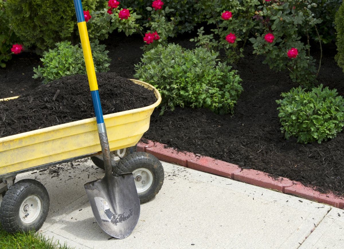 Le paillis pour empêcher la prolifération des mauvaises herbes entre les dalles. source : bobvila