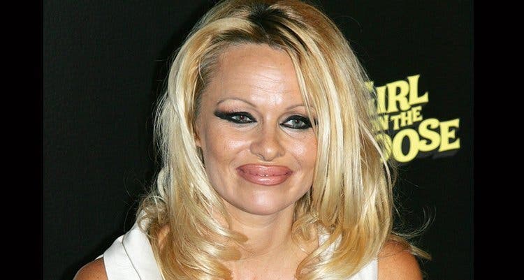 pamela anderson