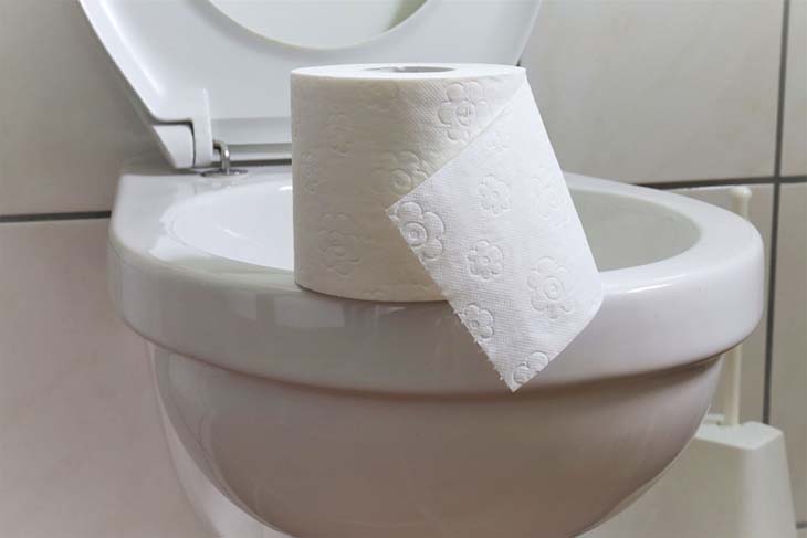 Papier toilette posé sur la lunette des toilettes 