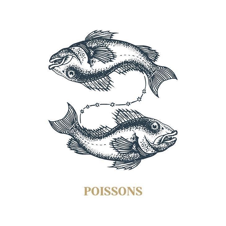 Signe du poissons 