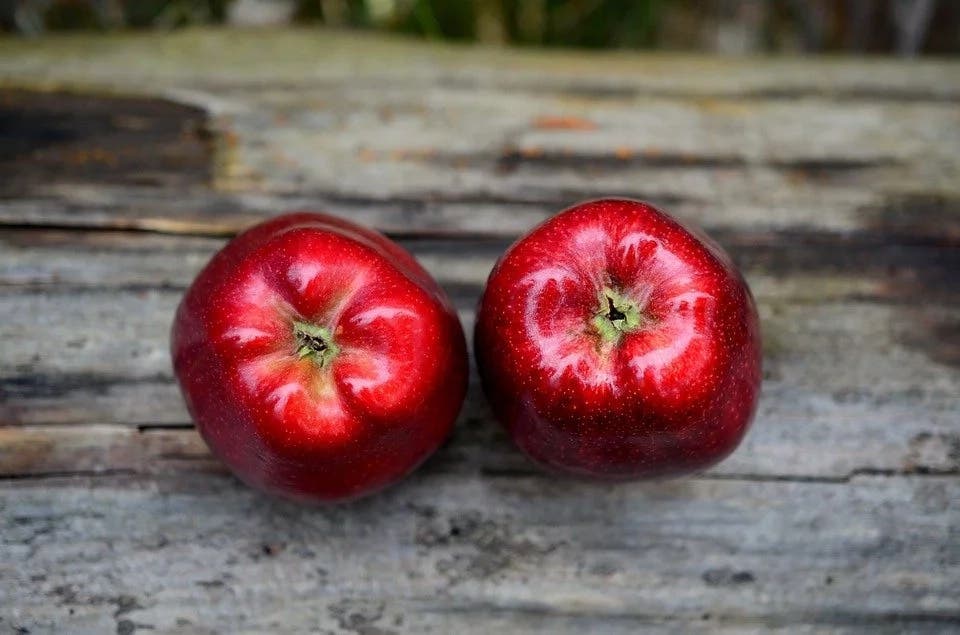 régime aux pommes