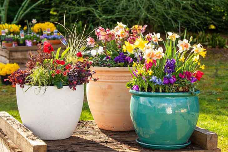 pots a fleurs