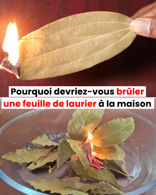 Pourquoi devriez-vous brûler une feuille de laurier à la maison ?