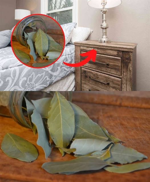 Pourquoi devriez-vous mettre des feuilles de laurier sur votre table de nuit