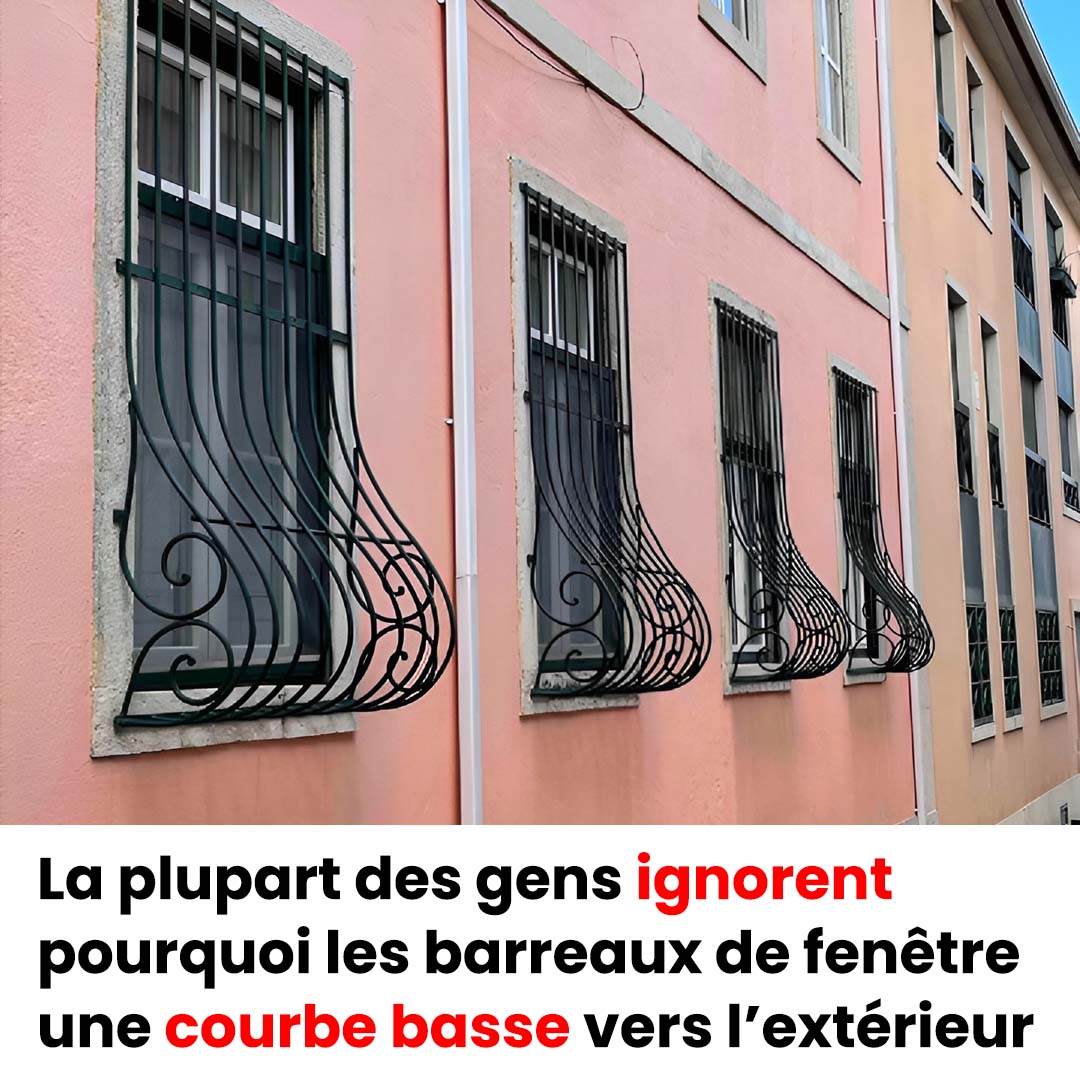 Pourquoi les barreaux de fenêtre ont-ils une courbure basse vers l’extérieur ?