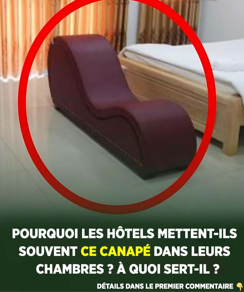 Pourquoi les hôtels mettent ils ce canapé dans les chambres ?