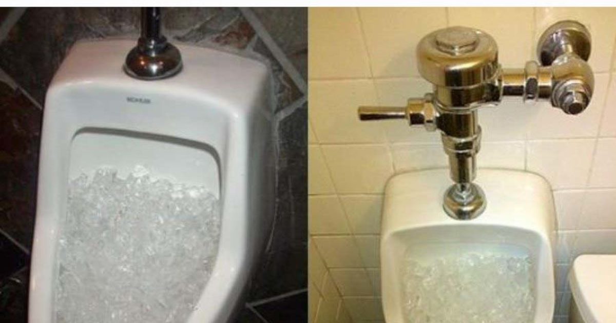 Pourquoi les restaurants et les hôtels mettent-ils de la glace dans leurs toilettes ?