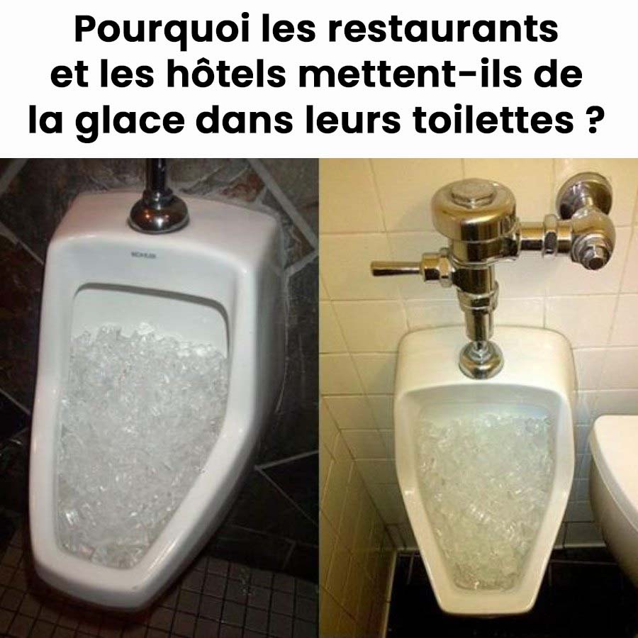 Pourquoi les restaurants et les hôtels mettent-ils de la glace dans leurs toilettes ?