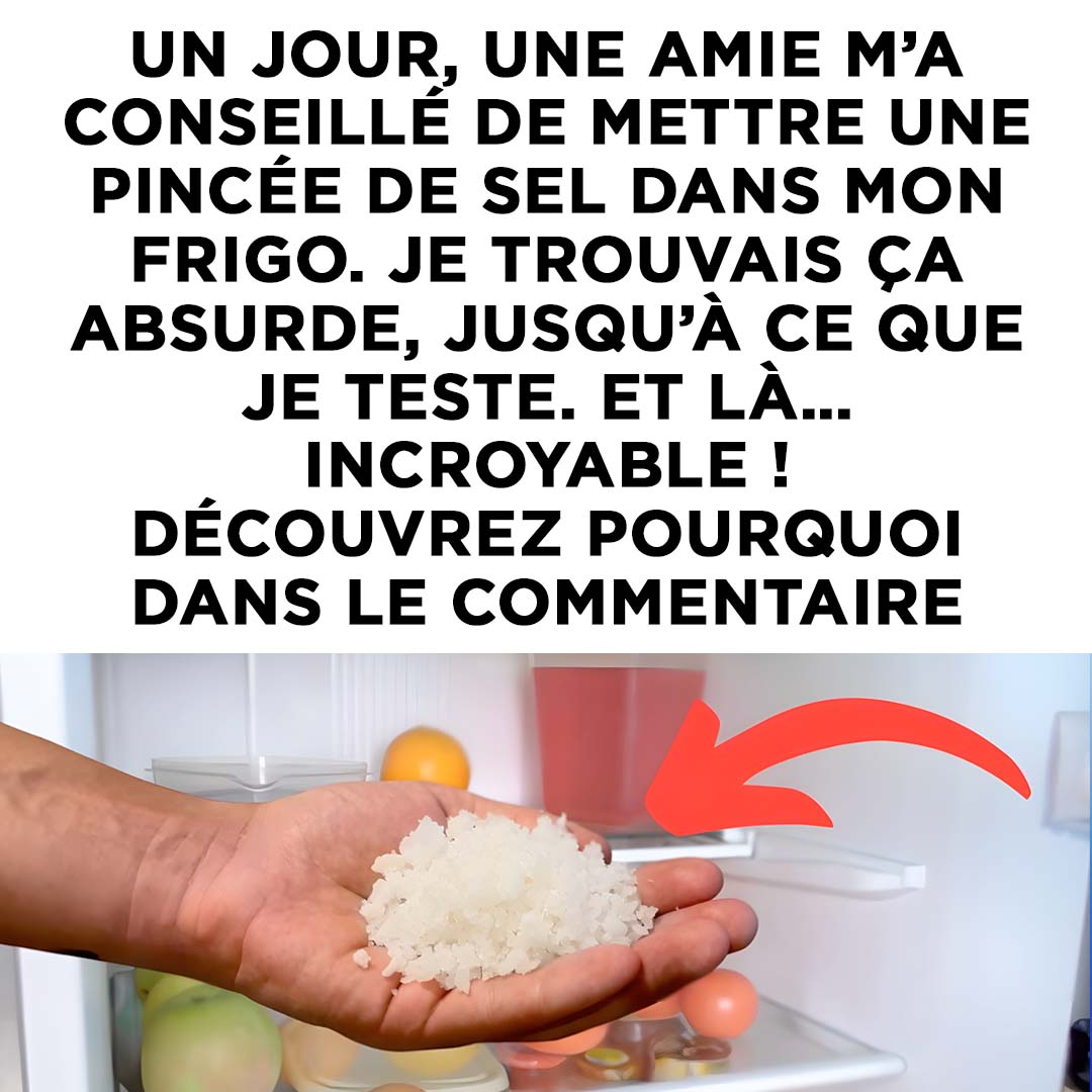 Pourquoi mettre du sel au frigo ?