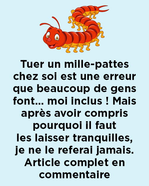 Pourquoi vous ne devriez plus jamais tuer un mille-pattes dans votre maison