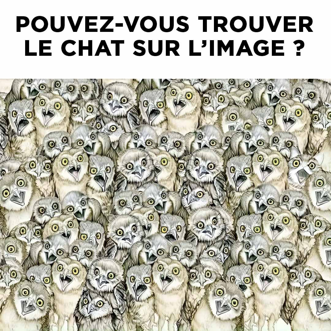 Pouvez-vous trouver le chat sur l’image ?