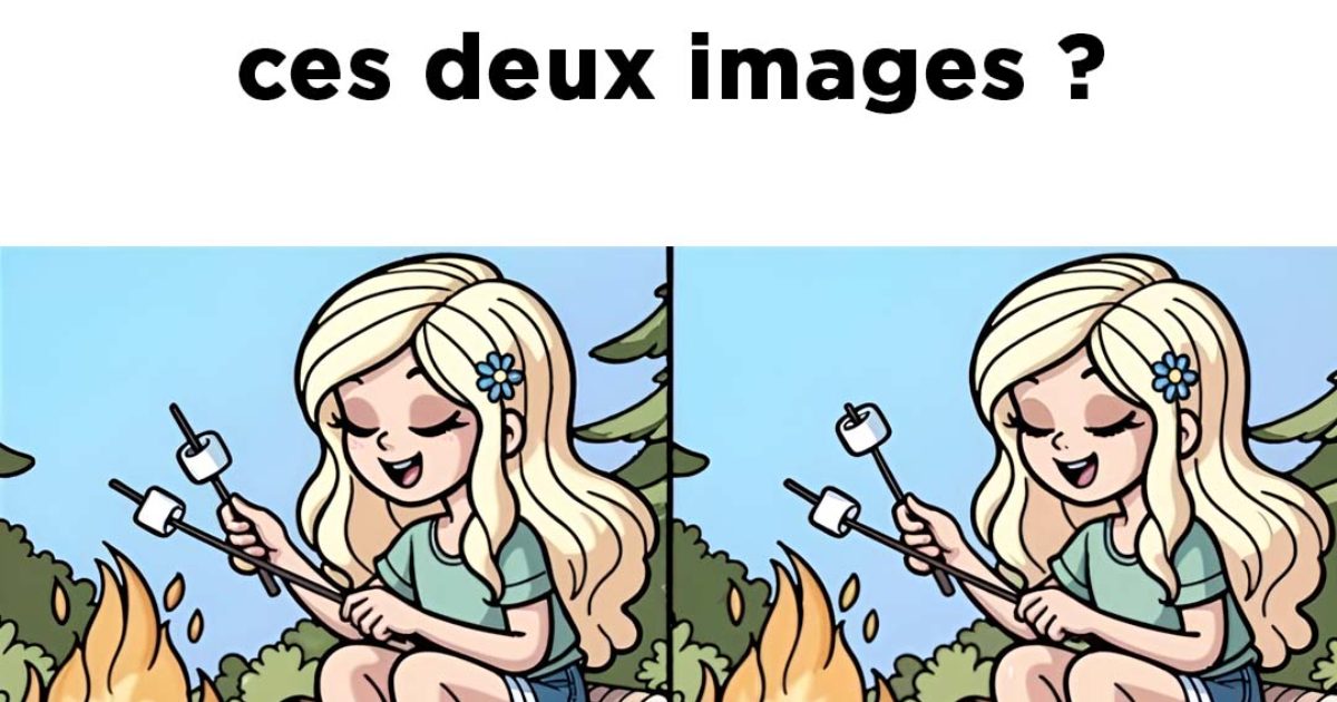 Pouvez-vous trouver les 3 différences entre ces deux images en moins de 44 secondes ?