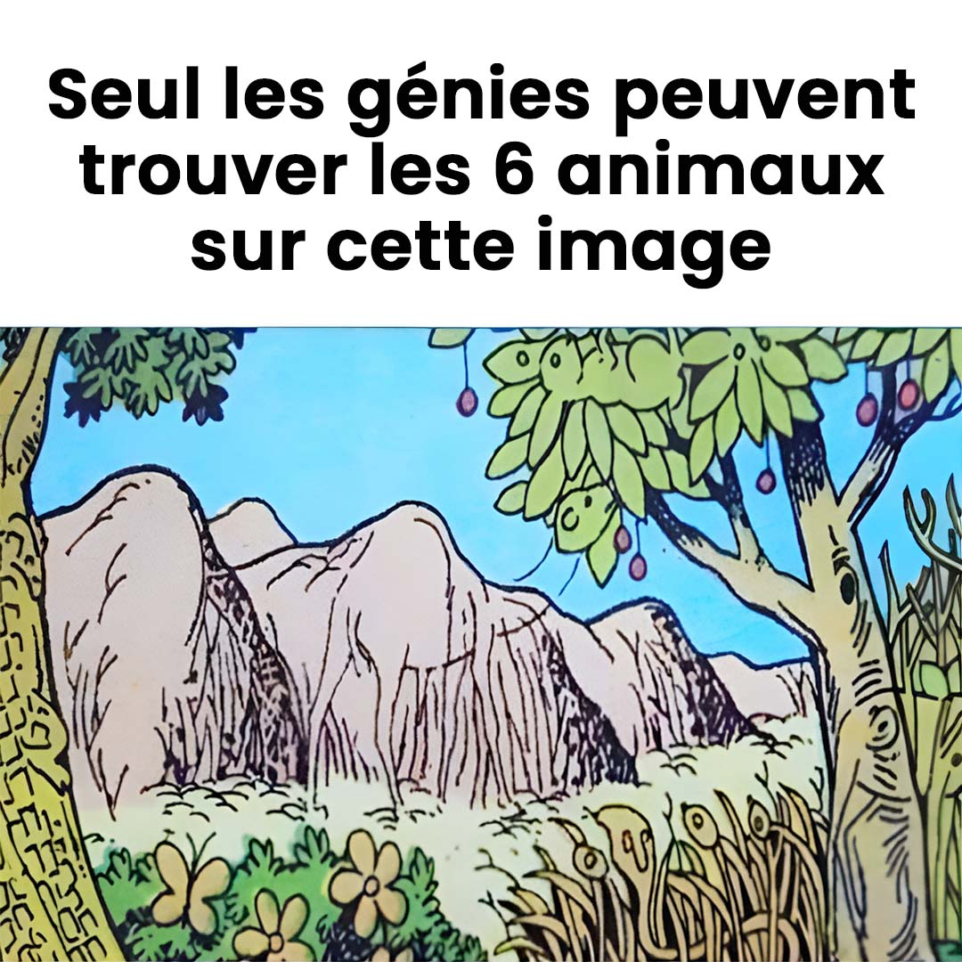 Pouvez-vous trouver les 6 animaux sur la photo ?