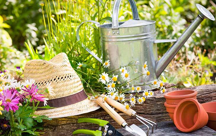 Préparer le jardin pour le printemps - source : spm