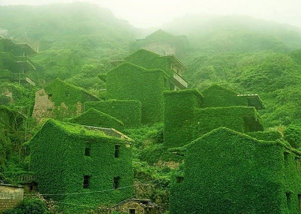 quand-la-nature-reprend-ses-droits-sur-les-constructions-humaines-epoustouflant-1