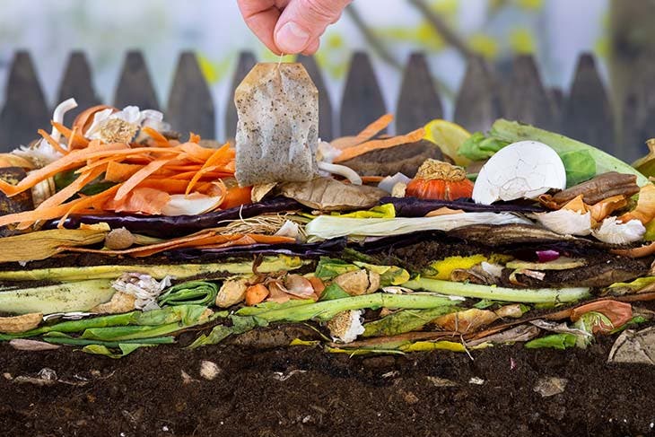 Sachet de thé biodégradable dans le tas de compost - source : spm