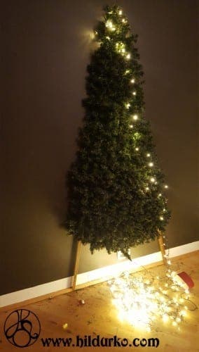 sapin11