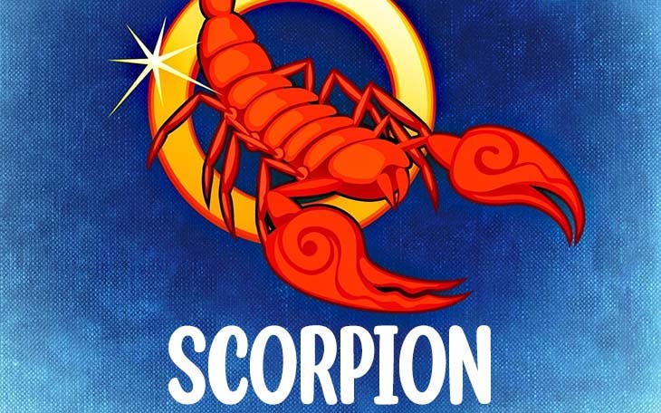 scorpion