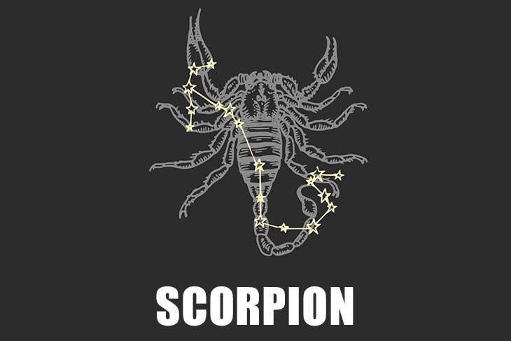 scorpion