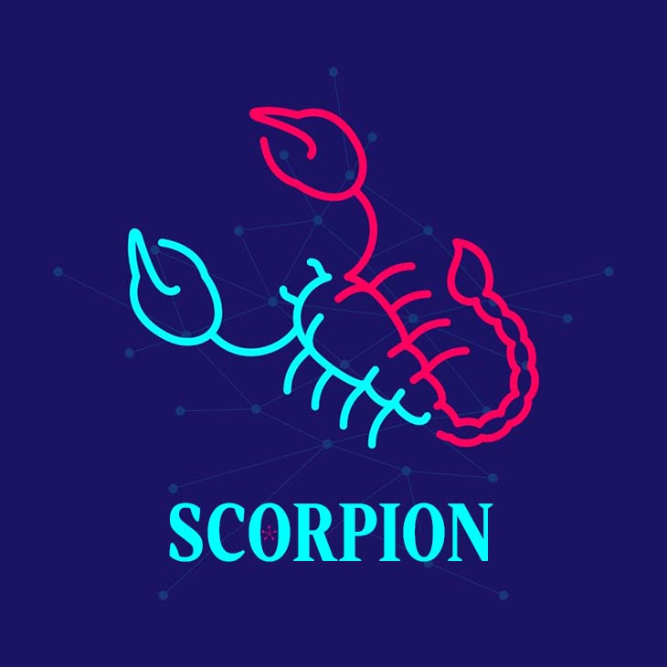 scorpion belle surprise