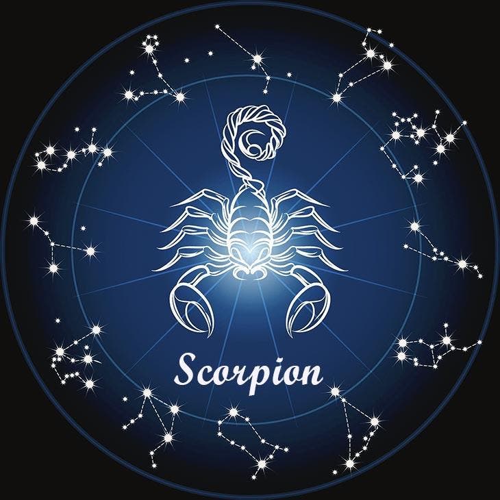 Scorpion